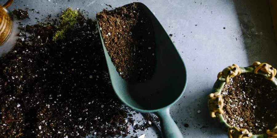 Soil type Soil type