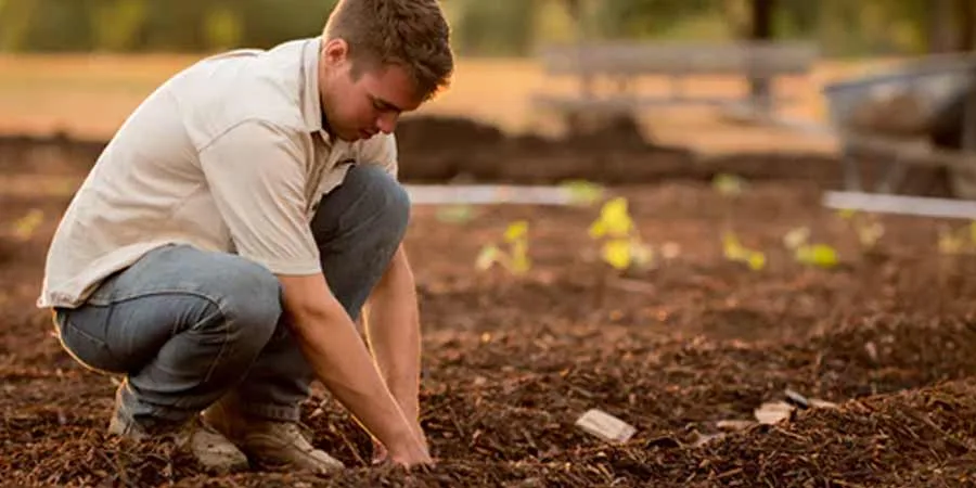 Conduct a soil test Conduct a soil test