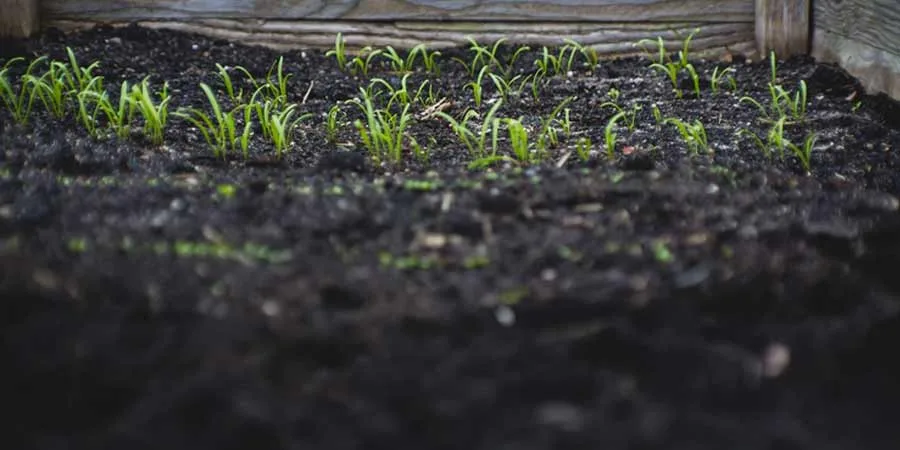 Composts Composts