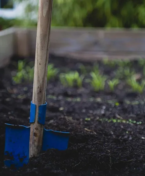 Gardening Style Gardening Style