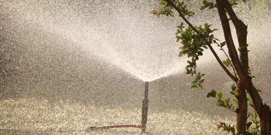 Watering Procedure Watering Procedure