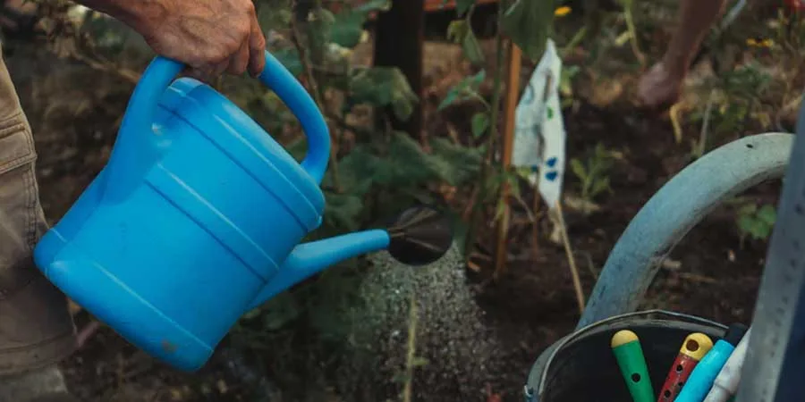 Watering Techniques Watering Techniques