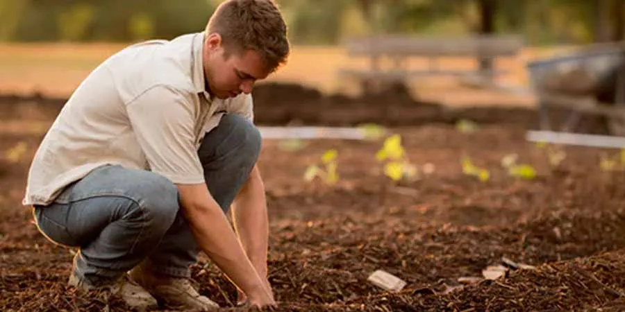 Soil testing and fixing