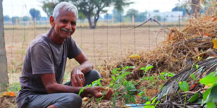 Vegetable garden care