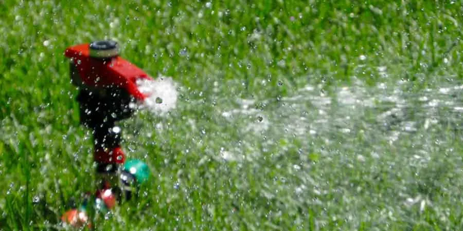 Water and protect the grass Water and protect the grass