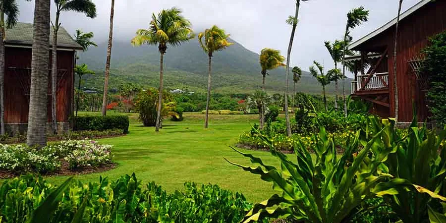 Easy Ways to Make Your Lawn Greener