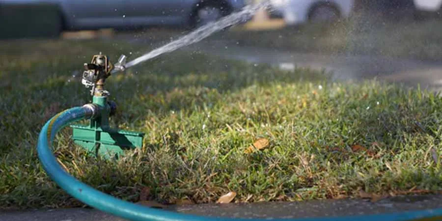 moistened and hydrated grass