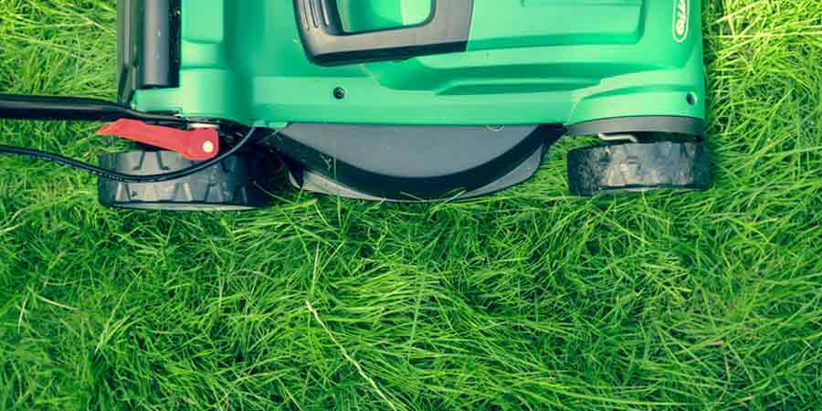 Maintenance Needed For Lawns